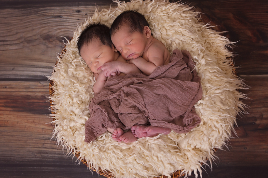 Photoshoot of Twin Baby Boys